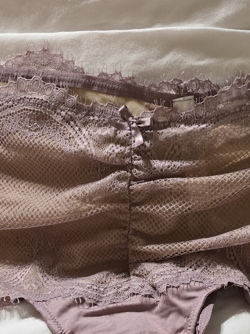 Cacique Dusty Mauve Lace Mesh High-Waist Briefs 18/20